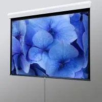 Draper Silhouette/M NTSC (3:4) 213/84" 127*169 XT1000E (MW)