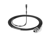 Картинка с сайта