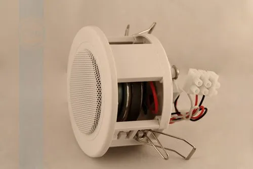 70adjrbu8eww8c40cs4848cgc