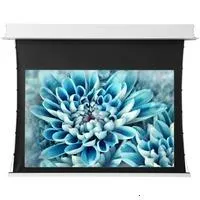 ViewScreen Annex 16:10 130" 280*175 (размер белого поля) White Casing (с ИК пультом)