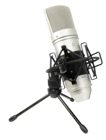 Купить Tascam TM-80 по выгодной цене в Нижнем Новгороде