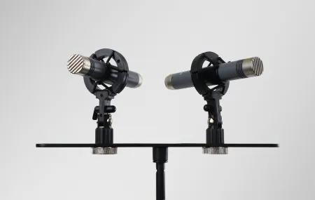 Купить AuraSonics AP22-MP по выгодной цене в Нижнем Новгороде