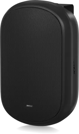 Купить Tannoy DVS 601 по выгодной цене в Нижнем Новгороде