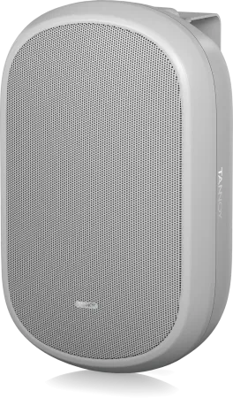 Купить Tannoy DVS 401-WH по выгодной цене в Нижнем Новгороде