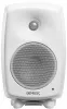 Купить Genelec 8030CW по выгодной цене в Нижнем Новгороде