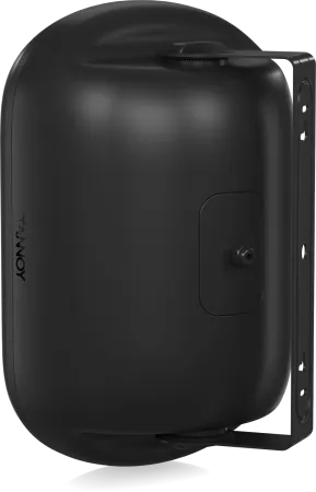Купить Tannoy DVS 801 по выгодной цене в Нижнем Новгороде