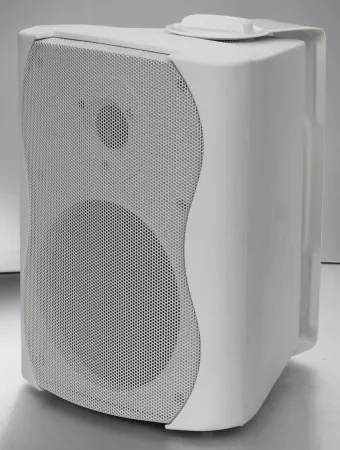 Купить SVS Audiotechnik WS-20 White по выгодной цене в Нижнем Новгороде