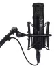 Купить WARM AUDIO WA-47jr по выгодной цене в Нижнем Новгороде