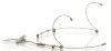 JTS CM-825iF