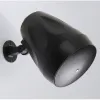 Купить AuraSonics FLORET-6T по выгодной цене в Нижнем Новгороде