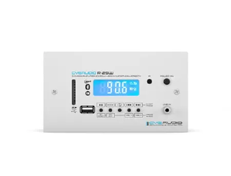 CVGAUDIO R-25W