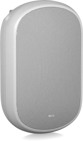 Купить Tannoy DVS 801-WH по выгодной цене в Нижнем Новгороде