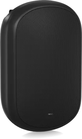 Купить Tannoy DVS 801 по выгодной цене в Нижнем Новгороде