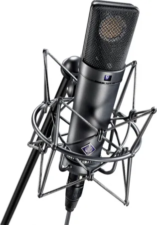 Купить NEUMANN U 89 i по выгодной цене в Нижнем Новгороде