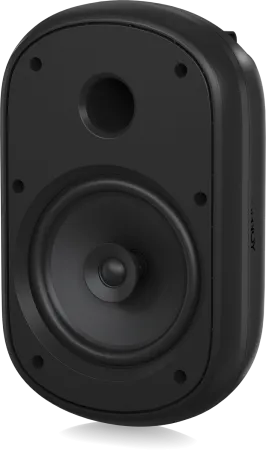 Купить Tannoy DVS 801 по выгодной цене в Нижнем Новгороде