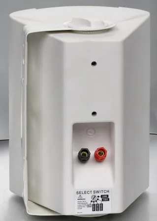 Купить SVS Audiotechnik WS-40 White по выгодной цене в Нижнем Новгороде