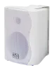Купить SVS Audiotechnik WS-30 White по выгодной цене в Нижнем Новгороде