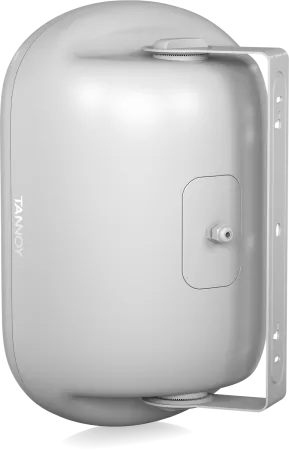 Купить Tannoy DVS 801-WH по выгодной цене в Нижнем Новгороде