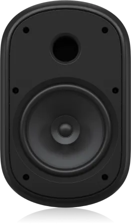 Купить Tannoy DVS 801 по выгодной цене в Нижнем Новгороде