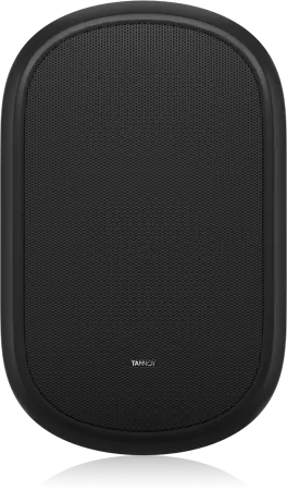Купить Tannoy DVS 401 по выгодной цене в Нижнем Новгороде