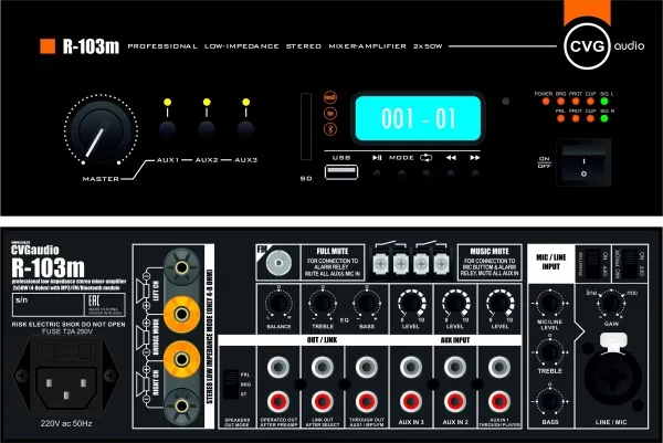CVGAUDIO R-103m
