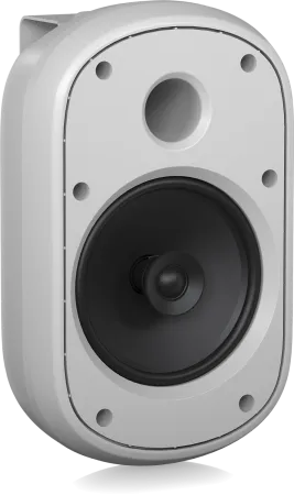 Купить Tannoy DVS 601-WH по выгодной цене в Нижнем Новгороде
