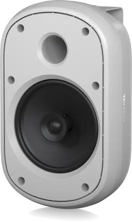 Купить Tannoy DVS 601-WH по выгодной цене в Нижнем Новгороде