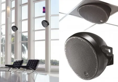 Купить DAS Audio OVI 12 по выгодной цене в Нижнем Новгороде