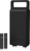 Купить BEHRINGER C-2 DARK EDITION по выгодной цене в Нижнем Новгороде
