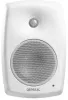 Купить Genelec 4430AW по выгодной цене в Нижнем Новгороде