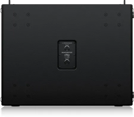 Turbosound Manchester MS121