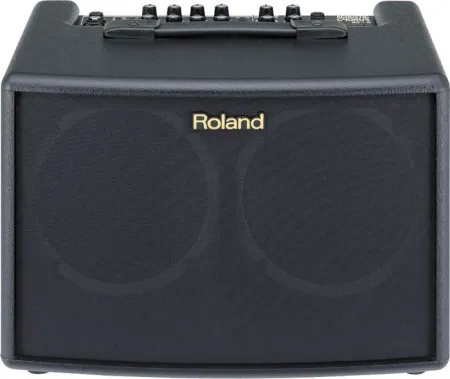 Купить ROLAND AC-60 по выгодной цене в Нижнем Новгороде