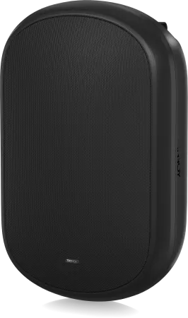 Купить Tannoy DVS 801 по выгодной цене в Нижнем Новгороде