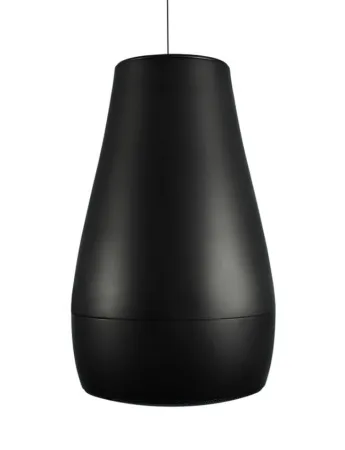 Купить BIAMP Desono P6 Black по выгодной цене в Нижнем Новгороде