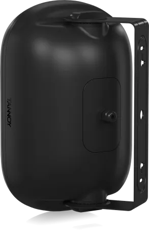 Купить Tannoy DVS 401 по выгодной цене в Нижнем Новгороде