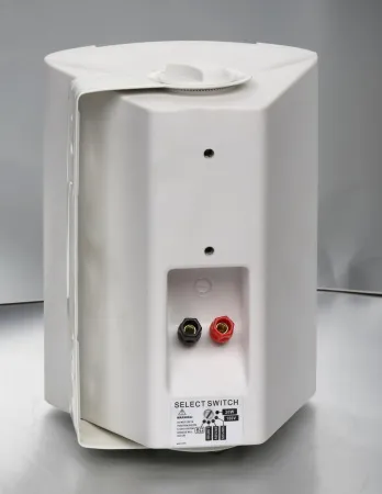 Купить SVS Audiotechnik WS-20 White по выгодной цене в Нижнем Новгороде