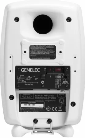 Купить Genelec 8030CW по выгодной цене в Нижнем Новгороде