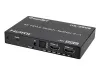 Купить iconBIT HS-2505 по выгодной цене в Нижнем Новгороде