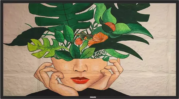 Philips 43BDL4550D/00 43