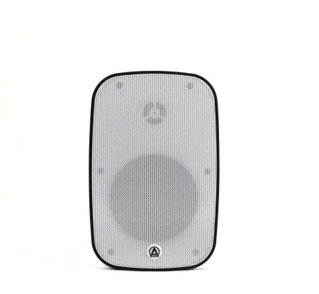Купить AuraSonics DENSE-5T-WH по выгодной цене в Нижнем Новгороде