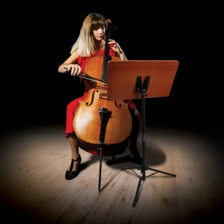 ONSTAGE SM7312W ONSTAGE SM7312W