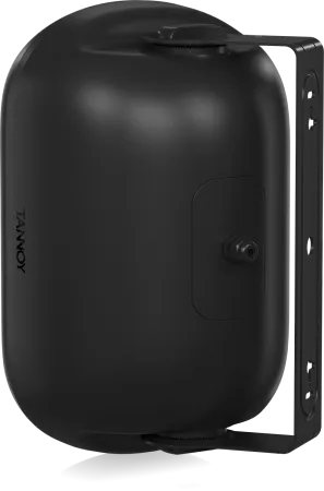 Купить Tannoy DVS 601 по выгодной цене в Нижнем Новгороде