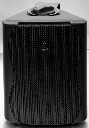 Купить SVS Audiotechnik WS-20 Black по выгодной цене в Нижнем Новгороде