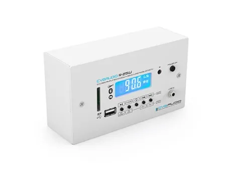 CVGAUDIO R-25W CVGAUDIO R-25W