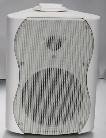 Купить SVS Audiotechnik WS-20 White по выгодной цене в Нижнем Новгороде