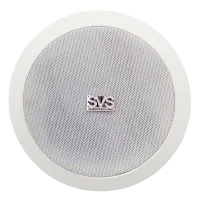 SVS Audiotechnik SC-206