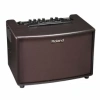 ROLAND AC-60RW