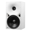Купить Genelec 8380AW по выгодной цене в Нижнем Новгороде