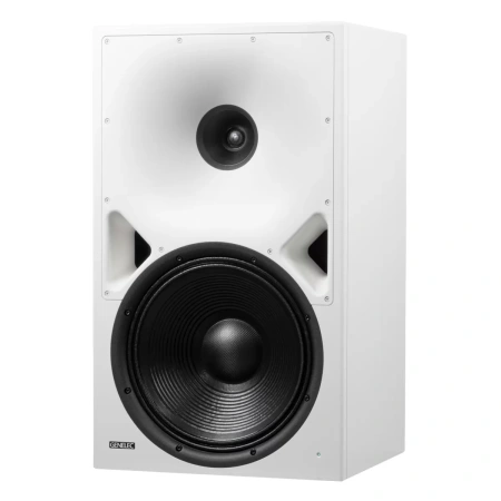 Купить Genelec 8380AW по выгодной цене в Нижнем Новгороде