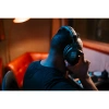Купить Sennheiser HD 300 PROtect по выгодной цене в Нижнем Новгороде